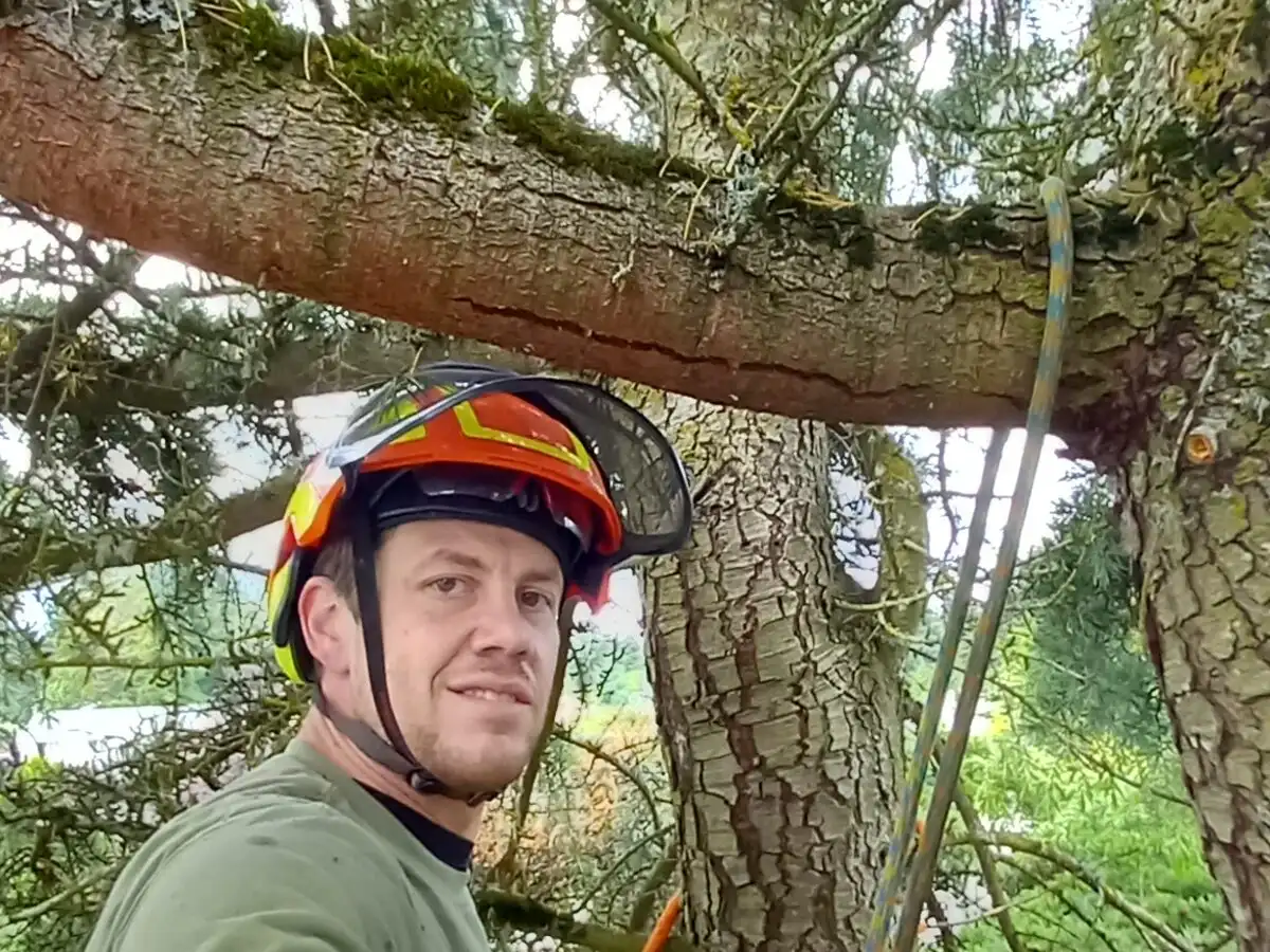 ISA Certified Arborist assessing a mature tree before writing a tree service estimate in Vancouver, WA