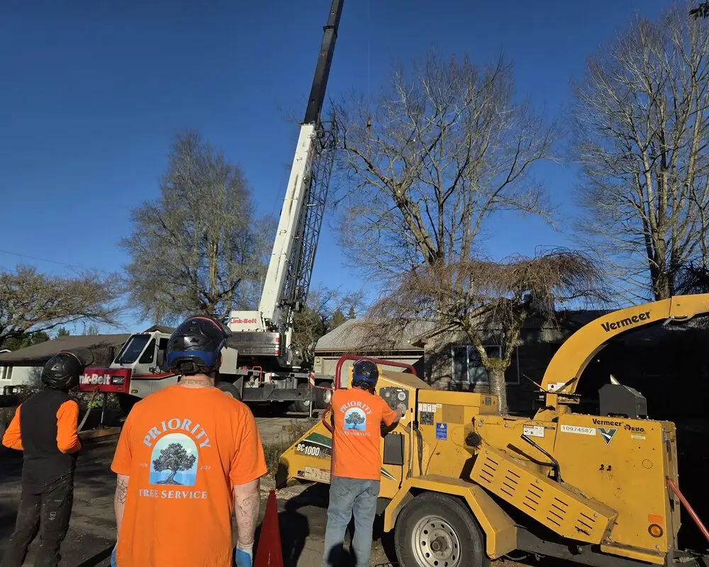 Tree crew running the chipper on a job site near Vancouver, WA