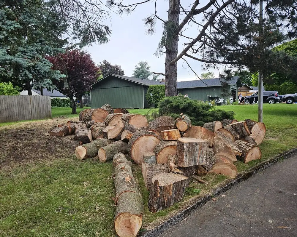 Crane lifting a large log section clear of a Vancouver, WA home