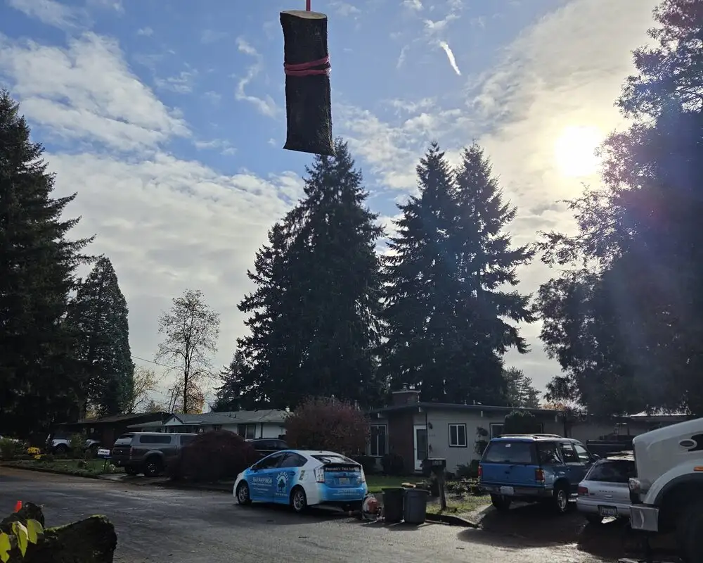 Large hazardous tree being taken down safely in Clark County, WA