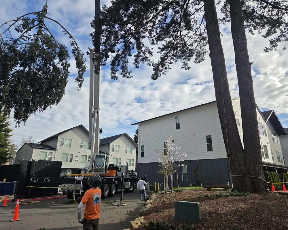 Branded Priority Tree Service truck and equipment on a job