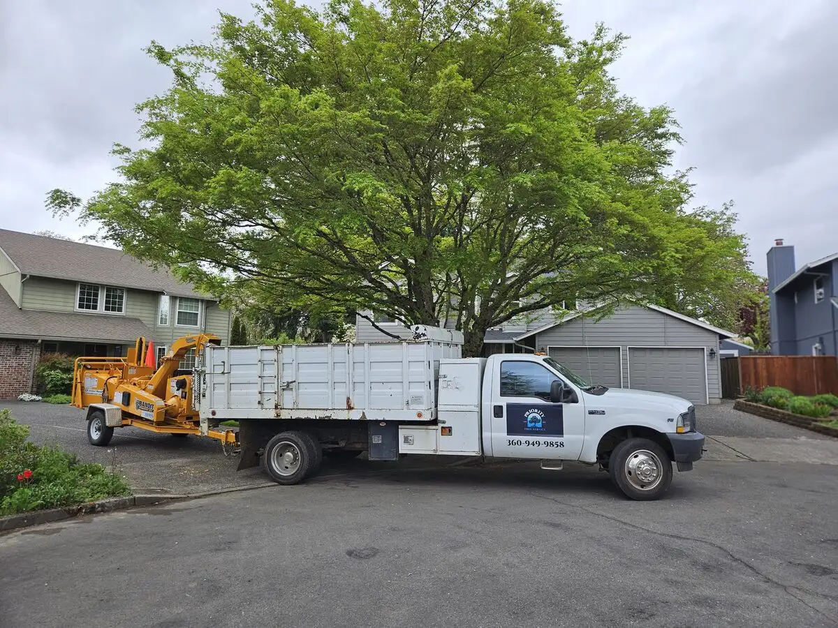 Priority Tree Service truck parked by a large ornamental tree in Vancouver, WA