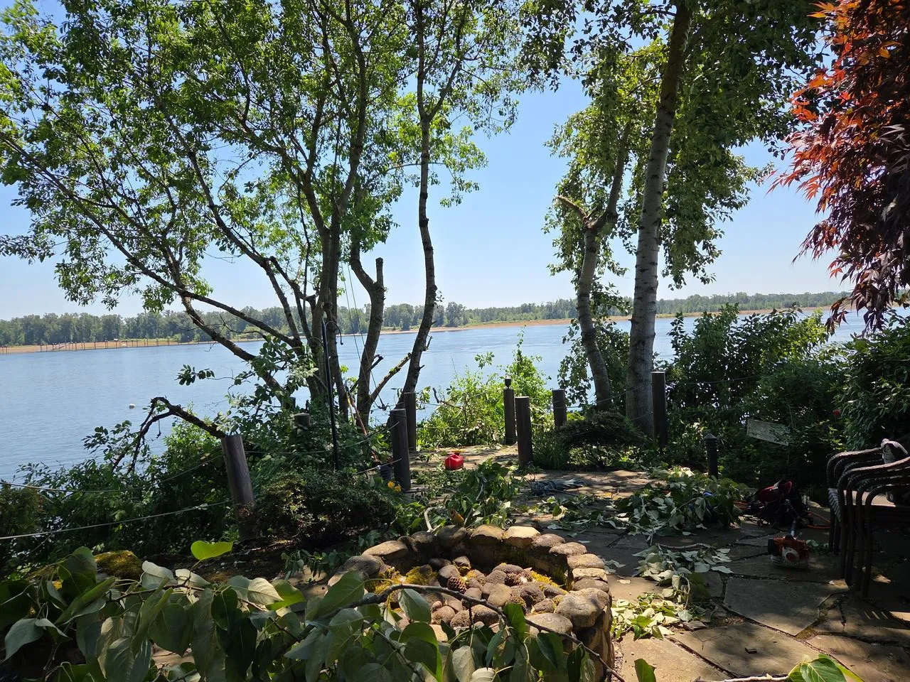 Emerald Ash Borer Treatment in Clark County by Priority Tree Service