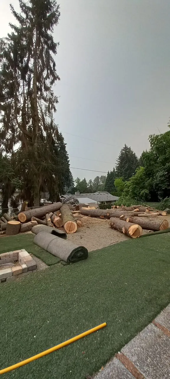 Yard full of bucked log sections and firewood after a large tree removal in Vancouver, WA