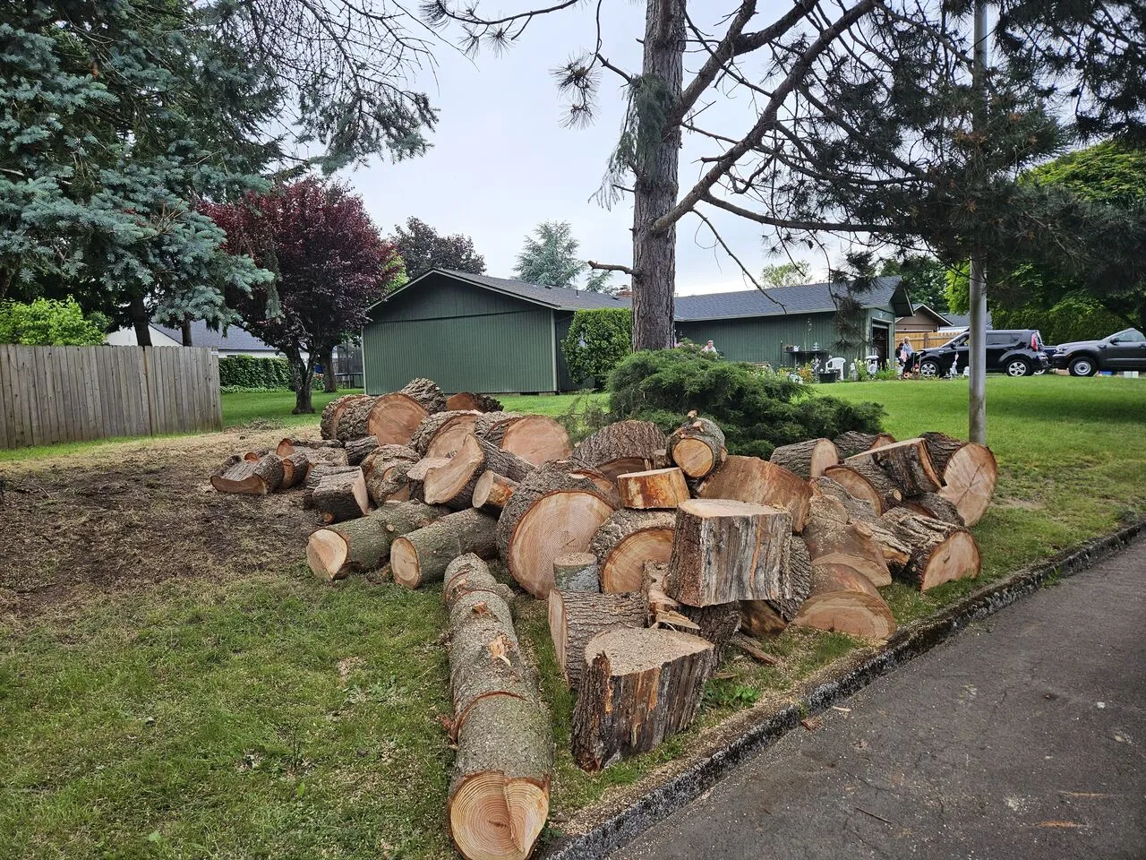 Bucked tree logs and rounds stacked on a lawn after a Battle Ground, WA removal