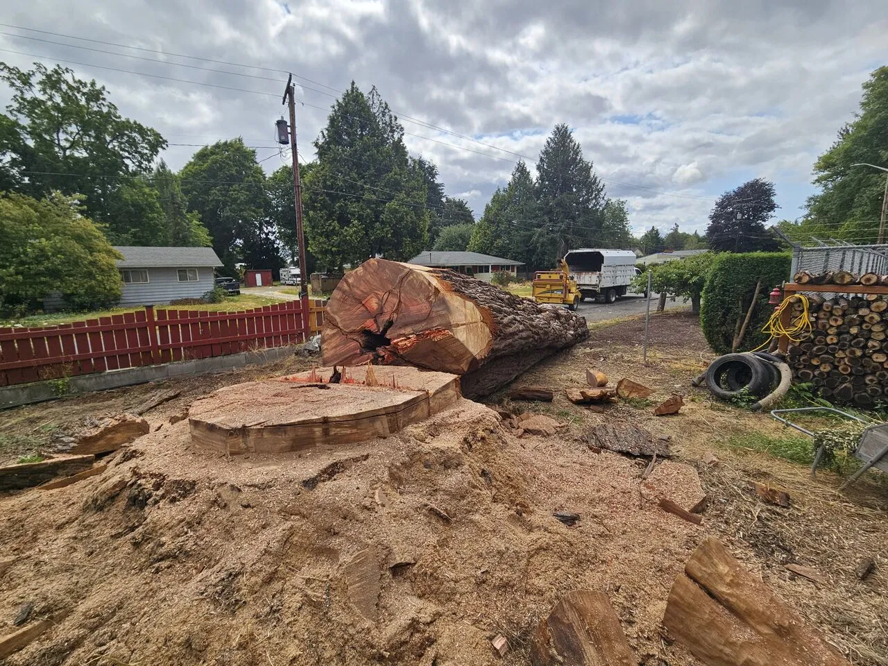 Massive felled log and fresh stump after a large tree removal in Battle Ground, WA