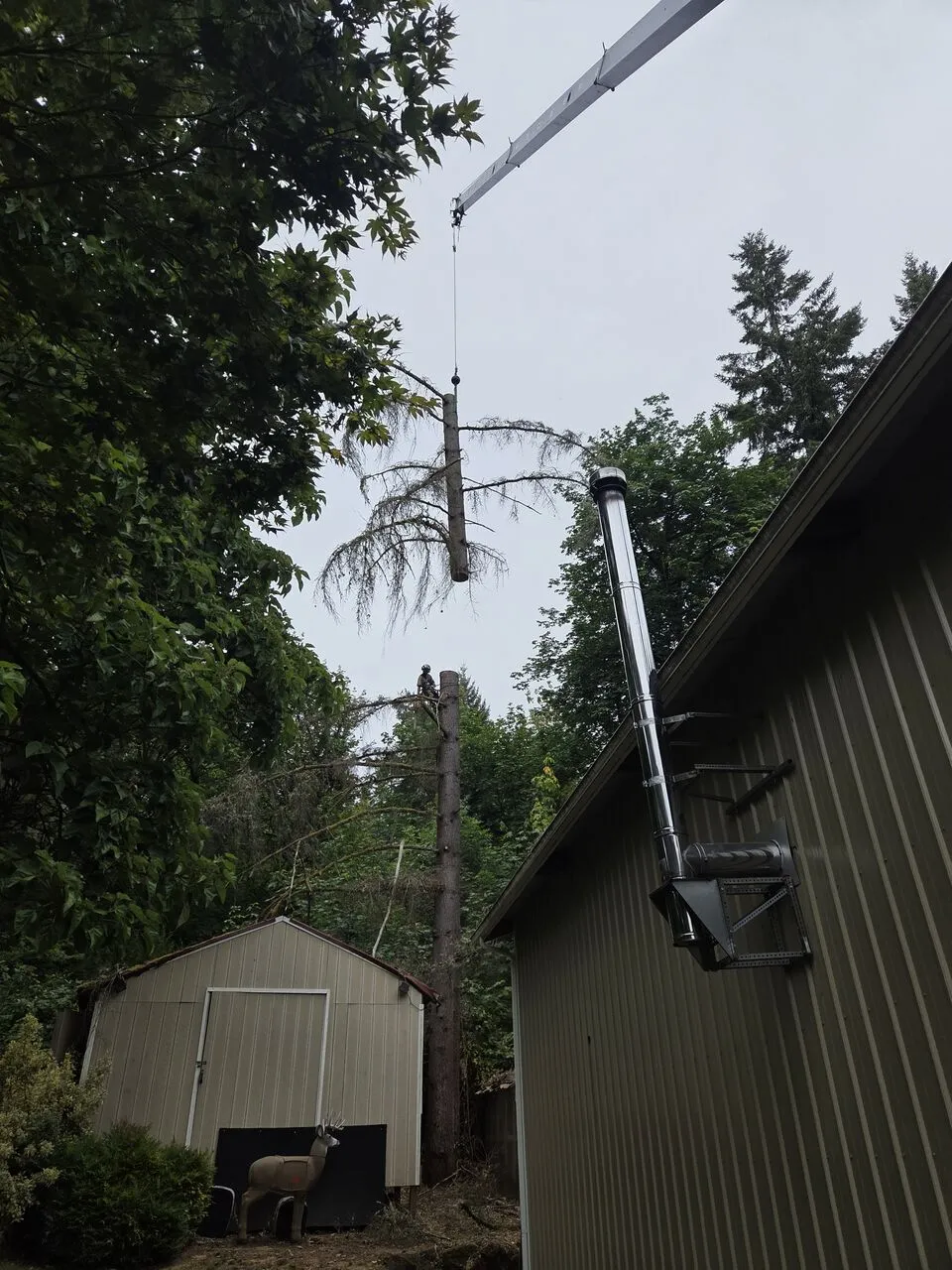 Crane lifting a tree section over a home during a removal in Brush Prairie, WA