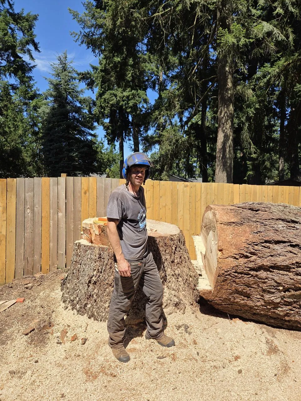 Crew member with hard hat beside a freshly cut log and stump in Brush Prairie, WA