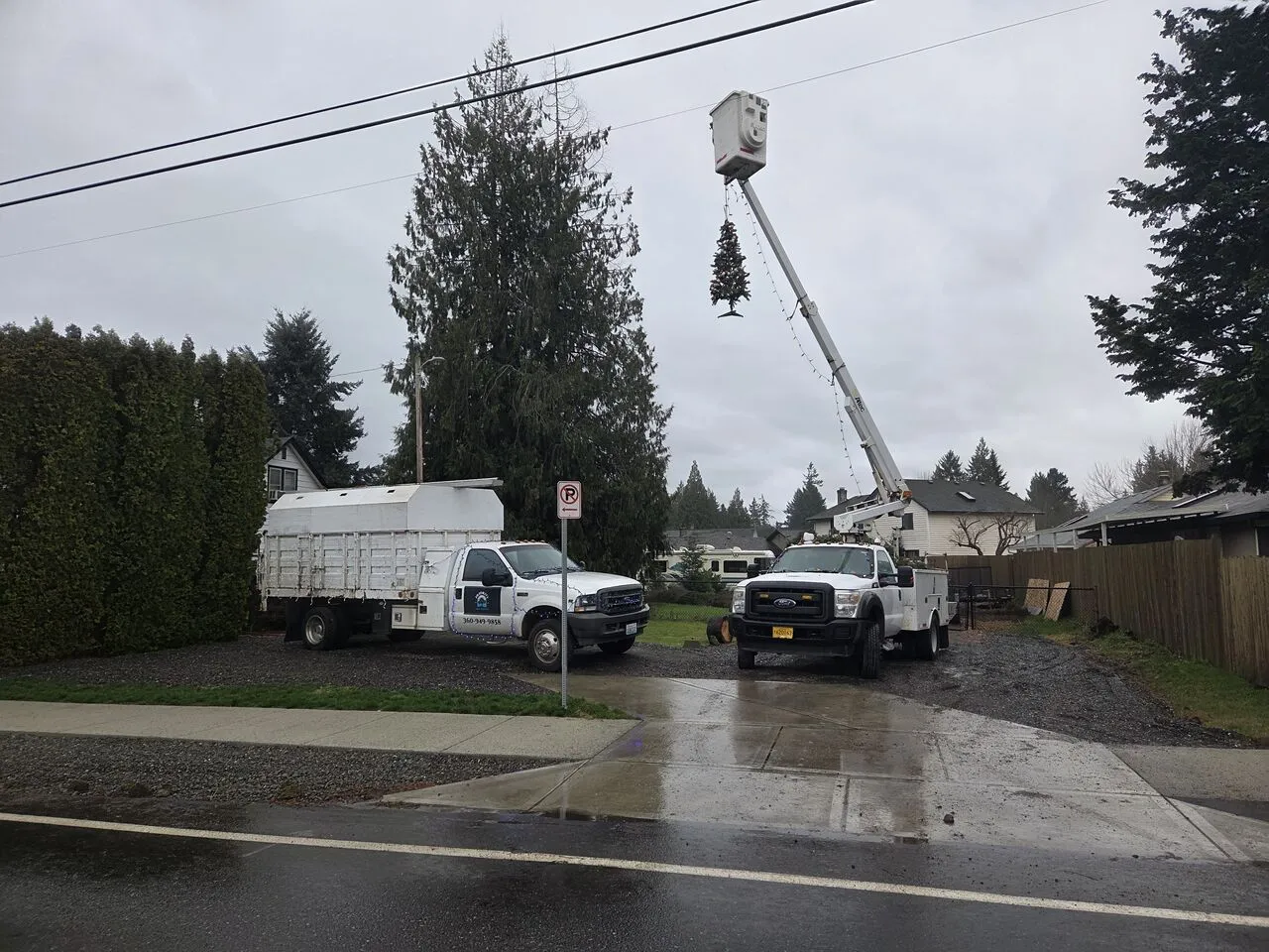 Bucket truck and chip truck set up for tree work along a wet Ridgefield, WA street