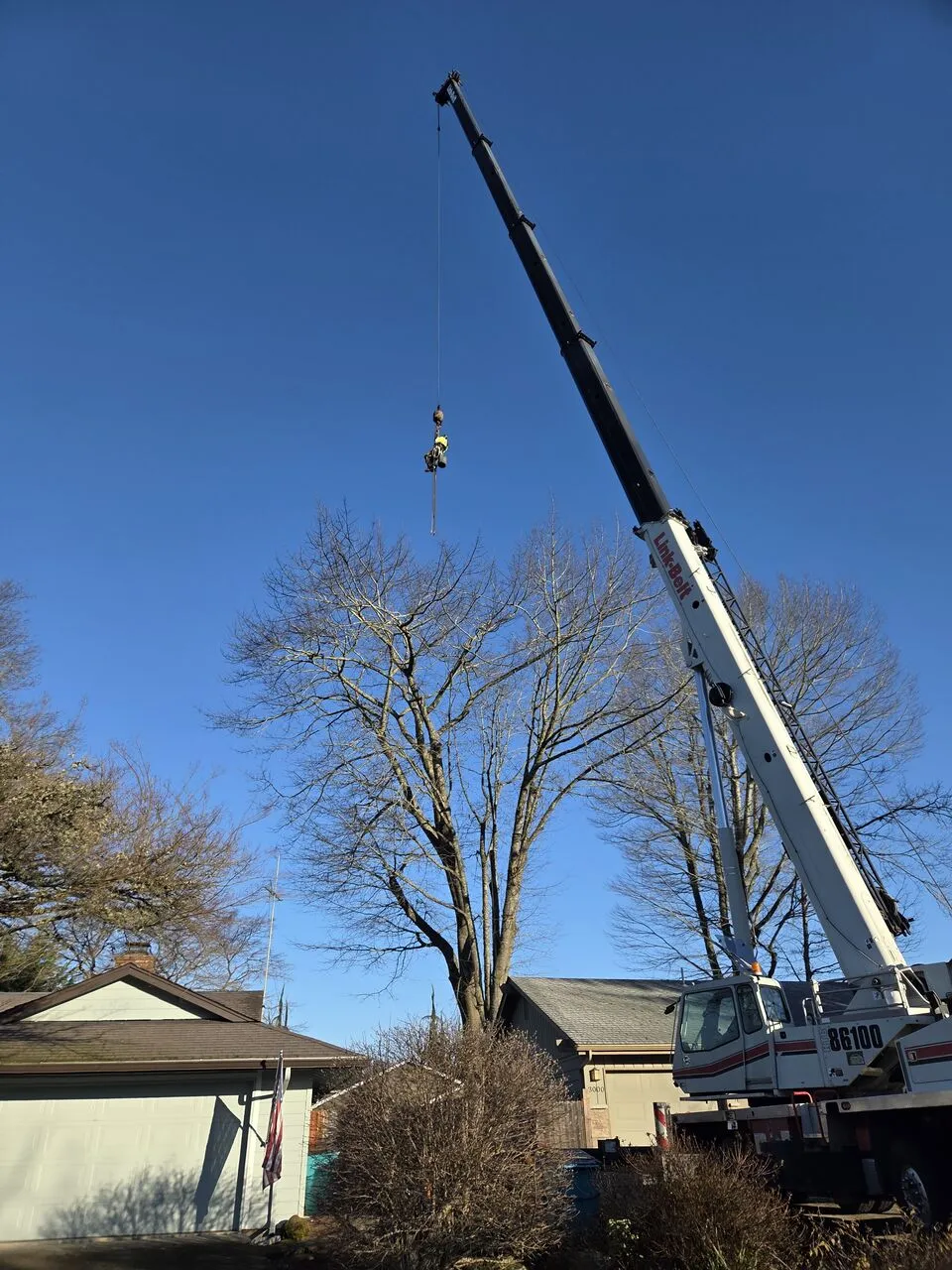 Crane hoisting a climber into a bare hardwood for removal against blue La Center, WA sky
