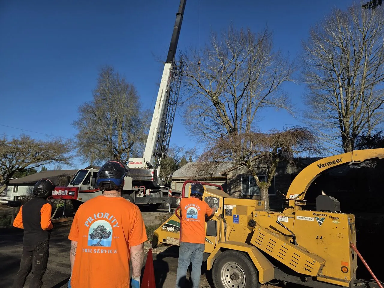 Crew in orange shirts running a wood chipper beside a crane during a Felida, WA tree removal