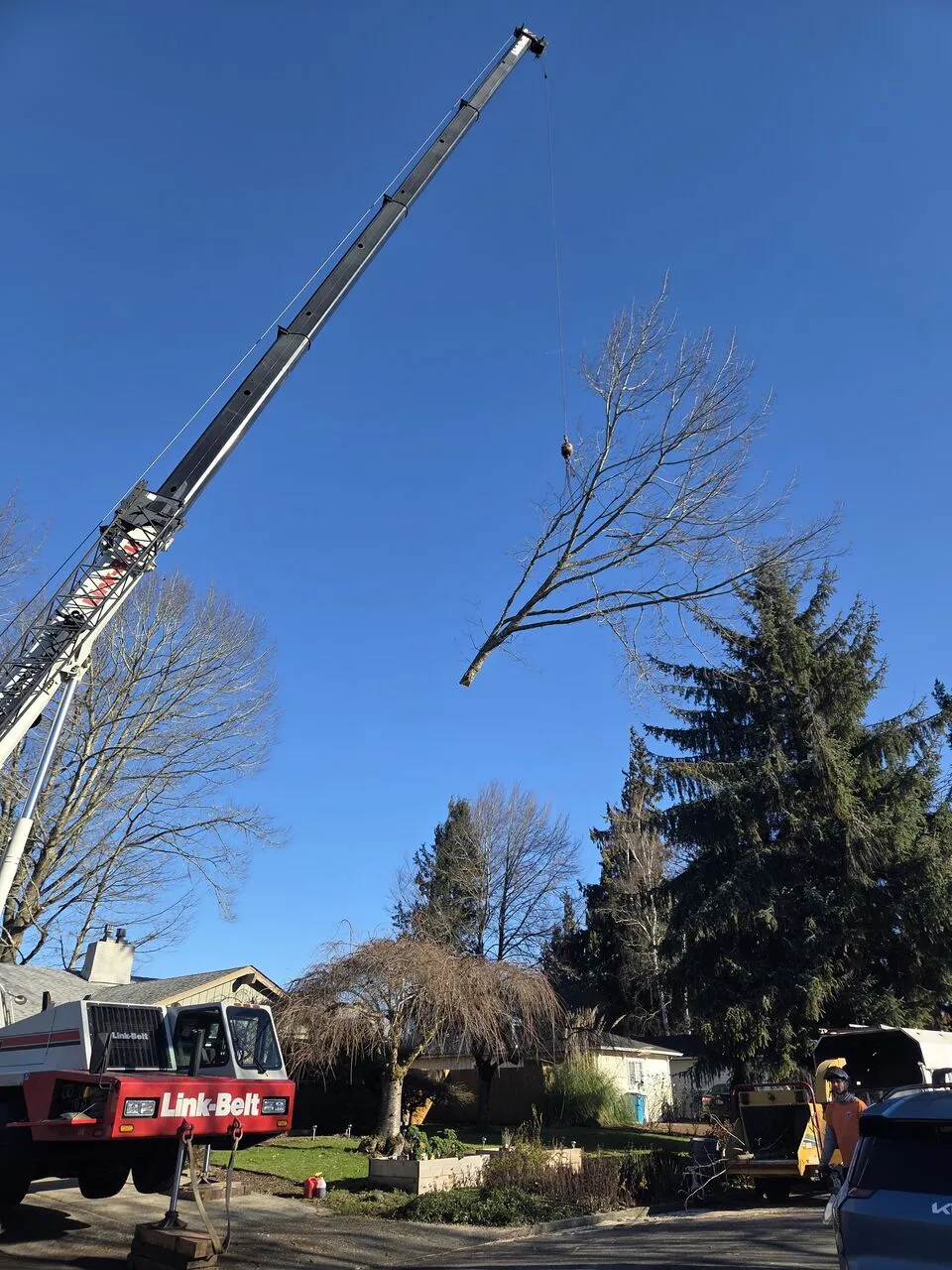 Crane lifting a bare tree section over a Salmon Creek, WA home against clear blue sky