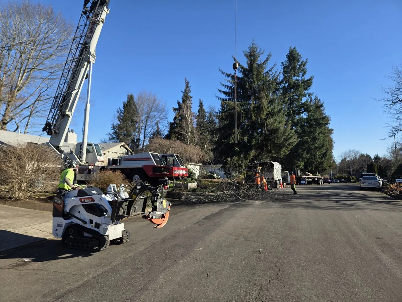 Mini skid steer and crane setup clearing tree debris along a residential Felida, WA street