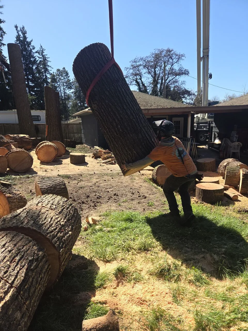 Worker guiding a craned log into a yard full of cut log rounds during a Felida, WA tree removal