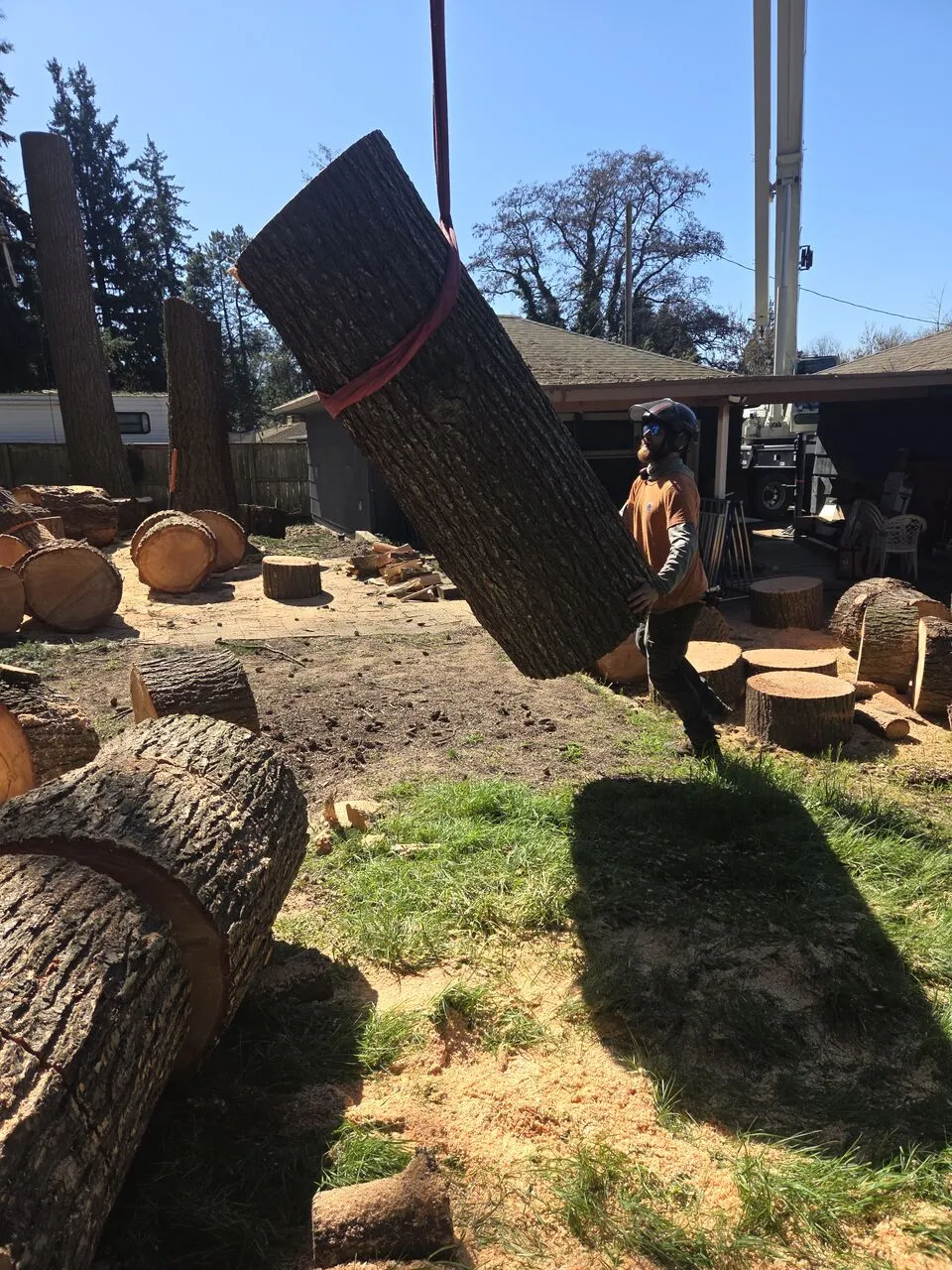 Arborist lowering a large craned oak log section onto a backyard during tree removal in Hockinson, WA