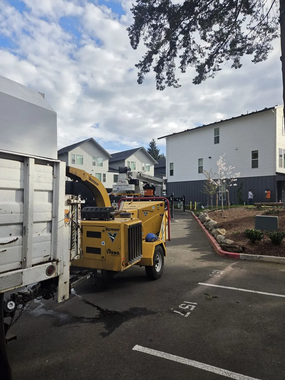 Yellow brush chipper parked beside a dump truck during a tree job in Orchards, WA