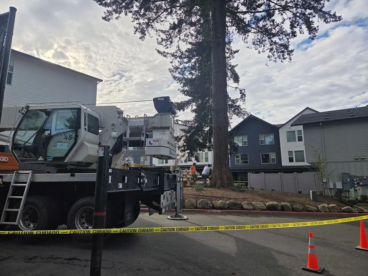 Crane truck set up with caution tape removing a tall conifer near townhomes in Hockinson, WA
