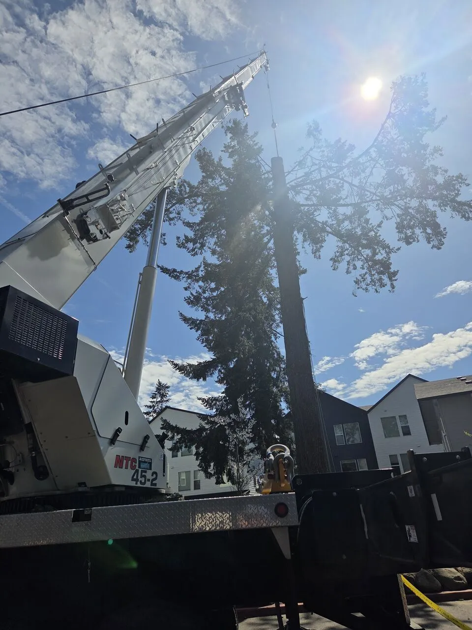 Crane lifting a large tree trunk section skyward against bright sun during removal in Hockinson, WA