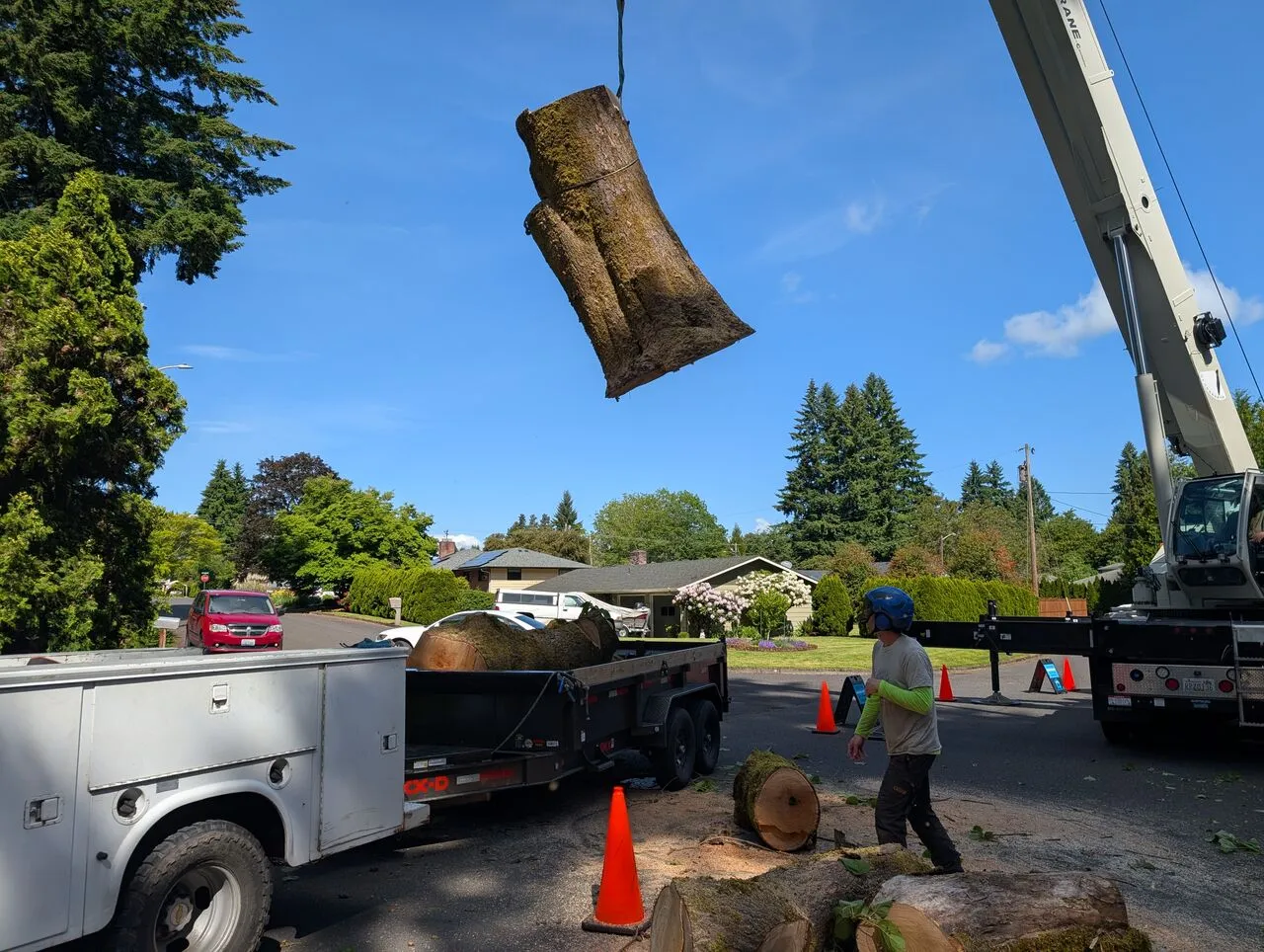 Crew member guides a craned log toward the dump truck during tree removal in a Camas, WA neighborhood