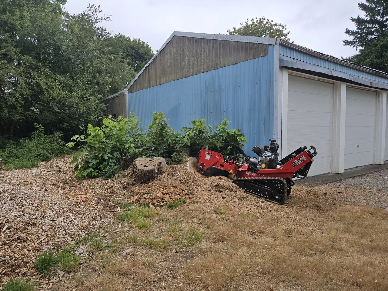 Red stump grinder working a fresh stump beside a garage during stump removal in Vancouver, WA